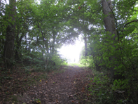 © Zierfischfreunde Immenhausen-Holzhausen